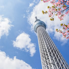 東京背景